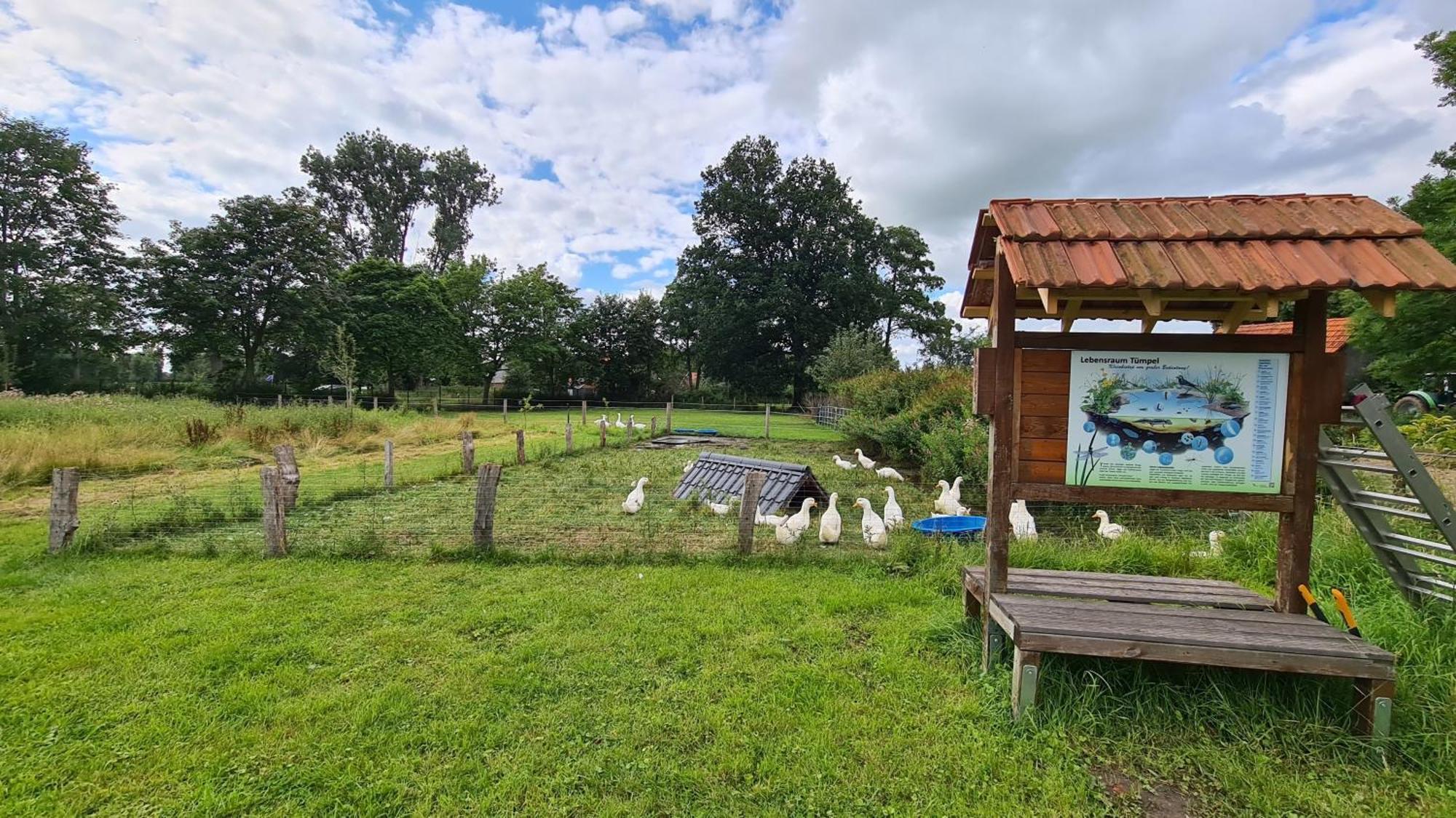 Naturhof Buschwiesen - Wohnung Lama Wilsum Luaran gambar